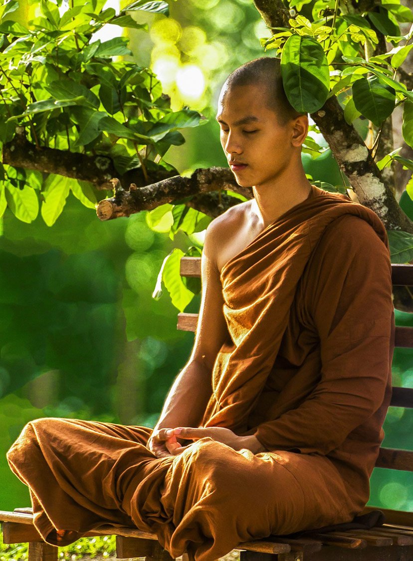 Buddha Meditation under a tree